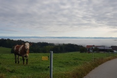 20210919_084953