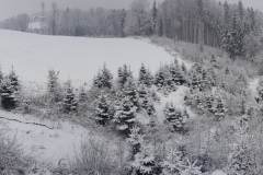 20211209_114439